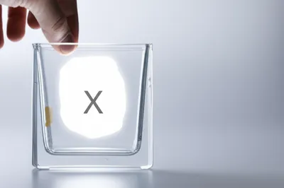 Illustration assigns - Image 1