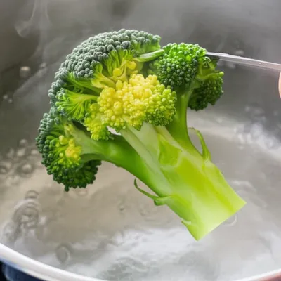 Illustration blanched - Image 1