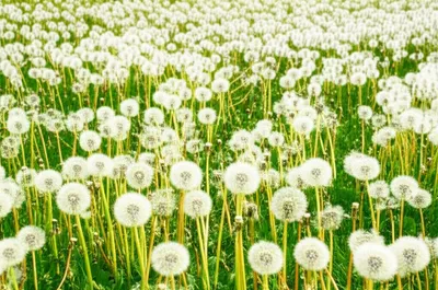 Illustration instances - Image 1