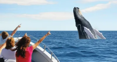 Illustration whaling - Image 1