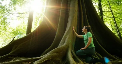 Illustration vow - Image 1