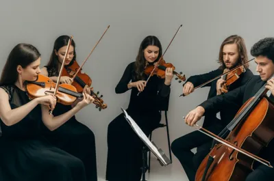 Illustration consort - Image 1