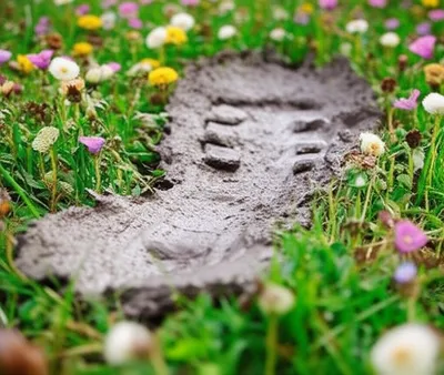 Illustration treaded - Image 1