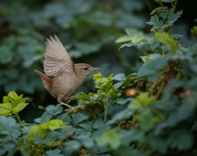 Illustration sally - Image 1