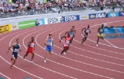 Illustration field - Image 2