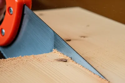 Illustration sawn - Image 1