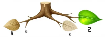 Illustration reflex - Image 1