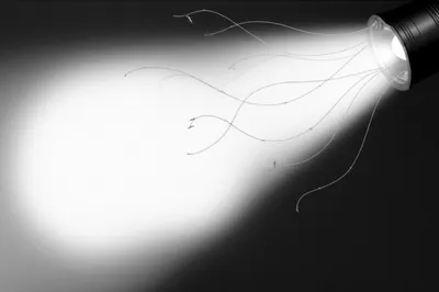 Illustration tongues - Image 1