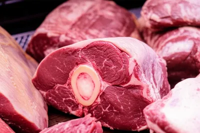 Illustration shank - Image 1