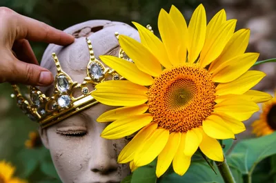 Hình ảnh minh họa reappropriated - Ảnh 1