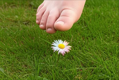 Hình ảnh minh họa squashing - Ảnh 1