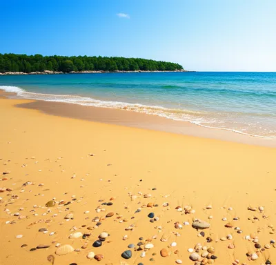 Illustration beaches