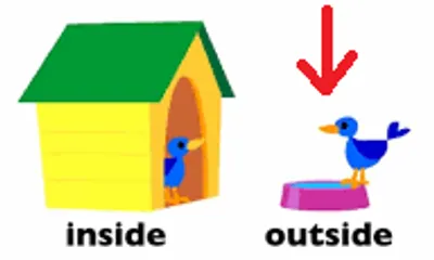 Illustration outer - Image 6