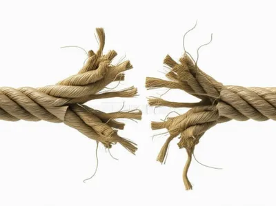 Illustration braid - Image 1