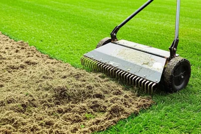 Illustration scarifying