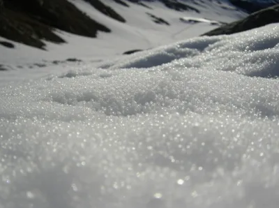 Illustration corn - Image 1