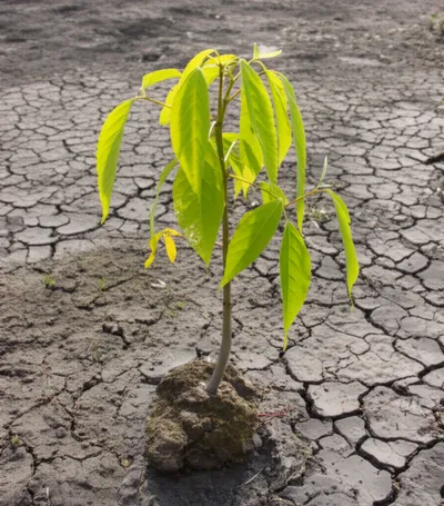 Illustration skinny - Image 1