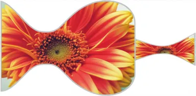 Illustration lossy - Image 1