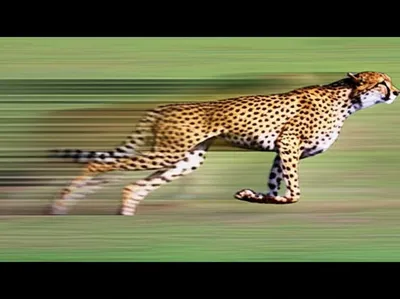 Illustration quickened - Image 1