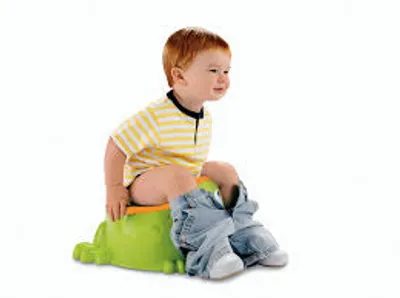 Illustration potty - Image 2