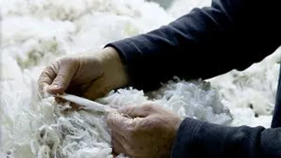 Illustration staple - Image 3