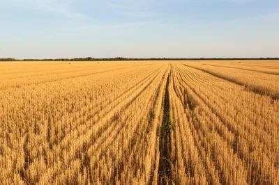 Illustration hooks - Image 1