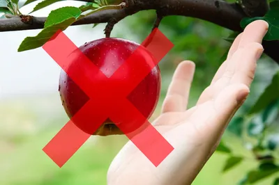 Illustration tabu - Image 1