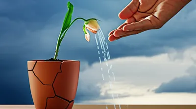 Illustration rehabilitated - Image 1