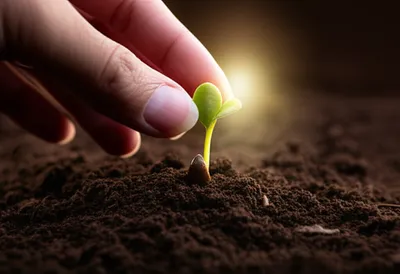 Illustration rez - Image 1