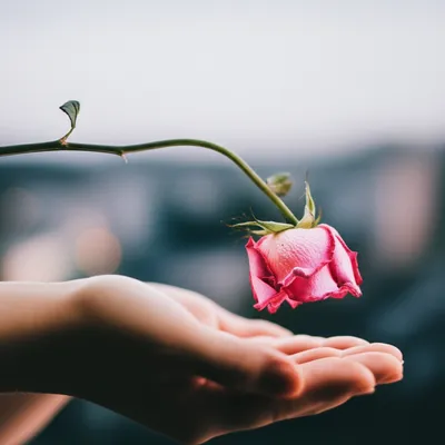 Illustration resigns - Image 1