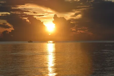 Illustration marvellous - Image 2