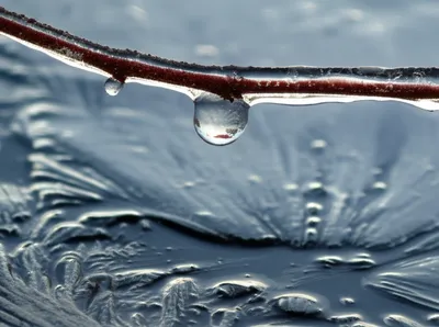 Illustration congelation - Image 1