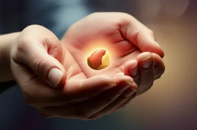 Illustration visuelle du mot « containing » - Contenir