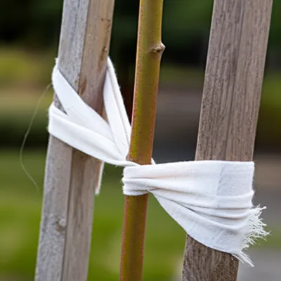 Illustration braces - Image 1