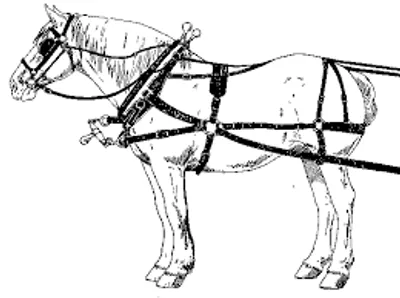 Illustration harness - Image 2