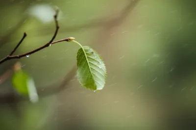 Illustration trembling - Image 1