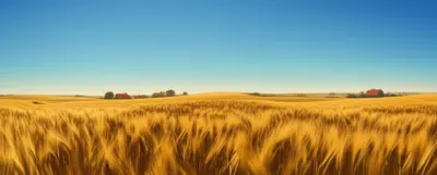 Illustration ackers - Image 1