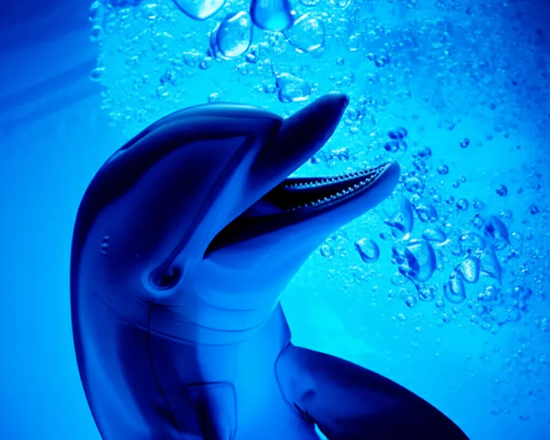 Visuelle Illustration von klick: Klicklaut - Bild 1