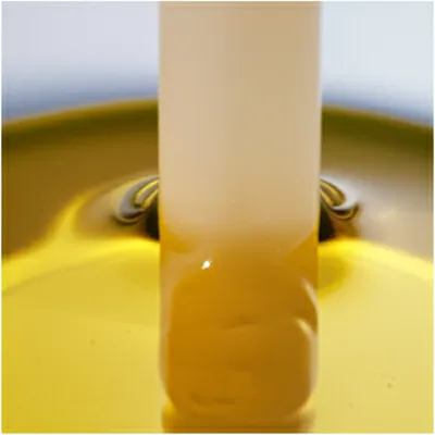 Illustration dip - Image 1