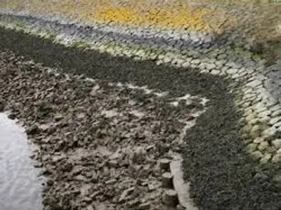 Illustration warp - Image 4