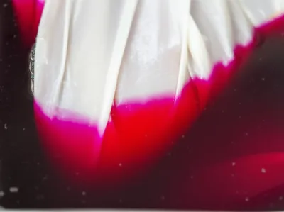 Illustration developer - Image 1