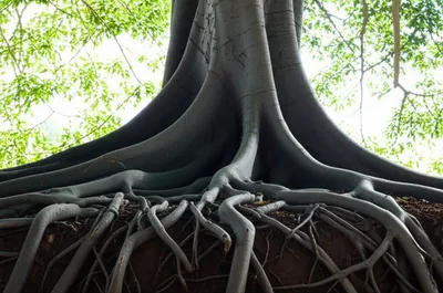 Illustration grounding - Image 1