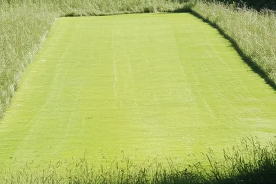 Illustration clearance