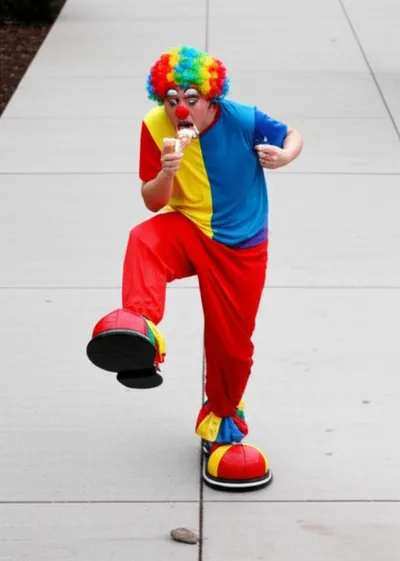 Illustration wigeon - Image 1