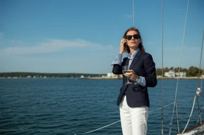 Illustration brahman - Image 1