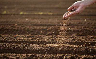 Illustration disperse - Image 1