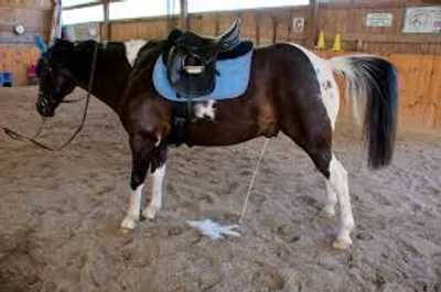 Illustration stale - Image 3