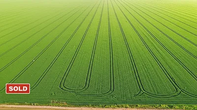 Illustration parcel - Image 1