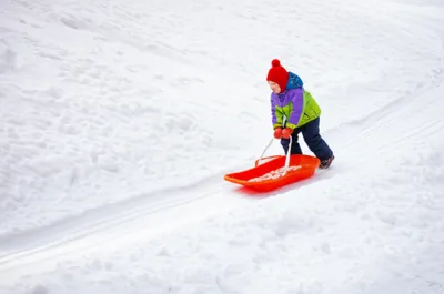 Illustration bob - Image 1