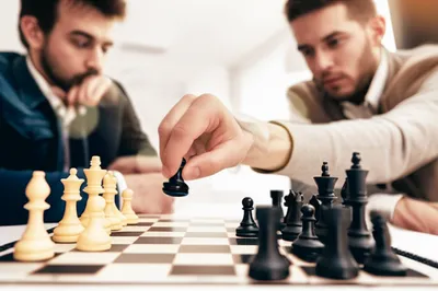 Illustration ply - Image 1